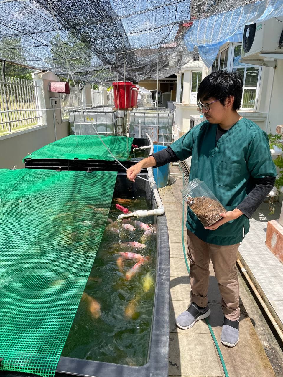 Initial setup of Fatih Aquaculture's backyard fish farm demonstrating sustainable small-scale aquaculture