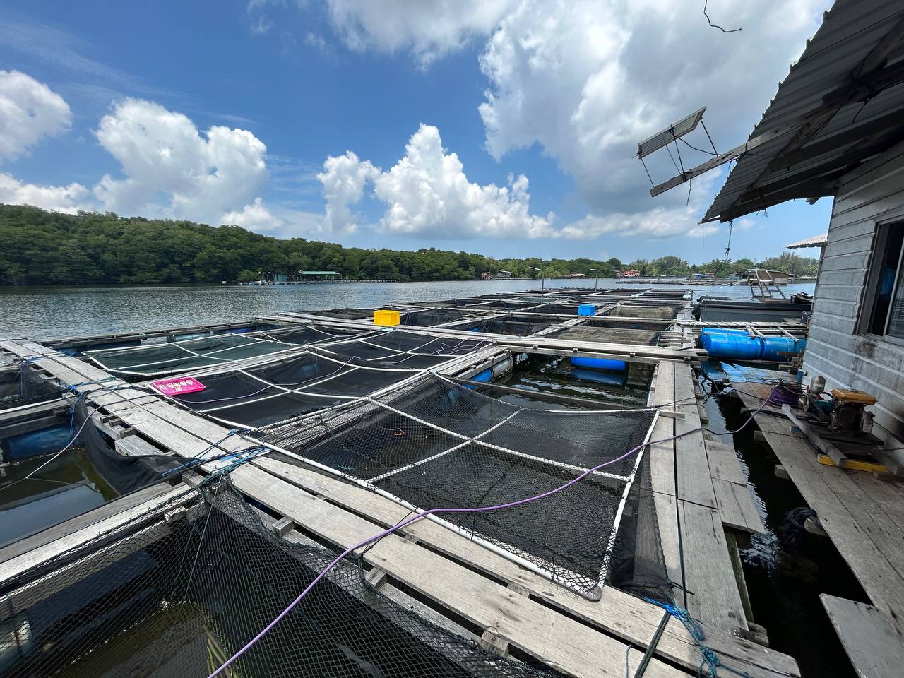 Expanded view of Fatih Aquaculture's fish farming facilities