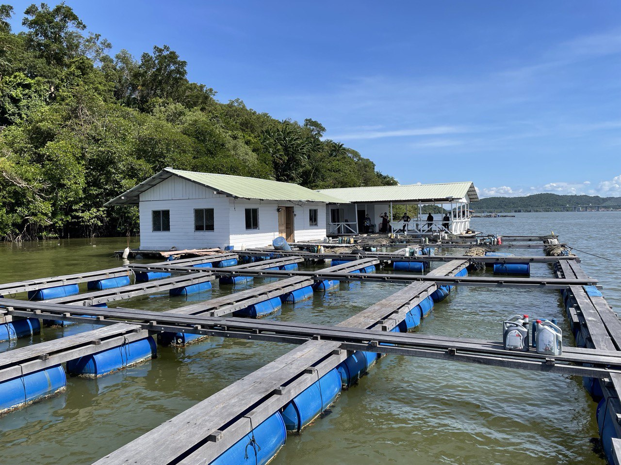 Aquaculture facilities at Pulau Kaingaran site