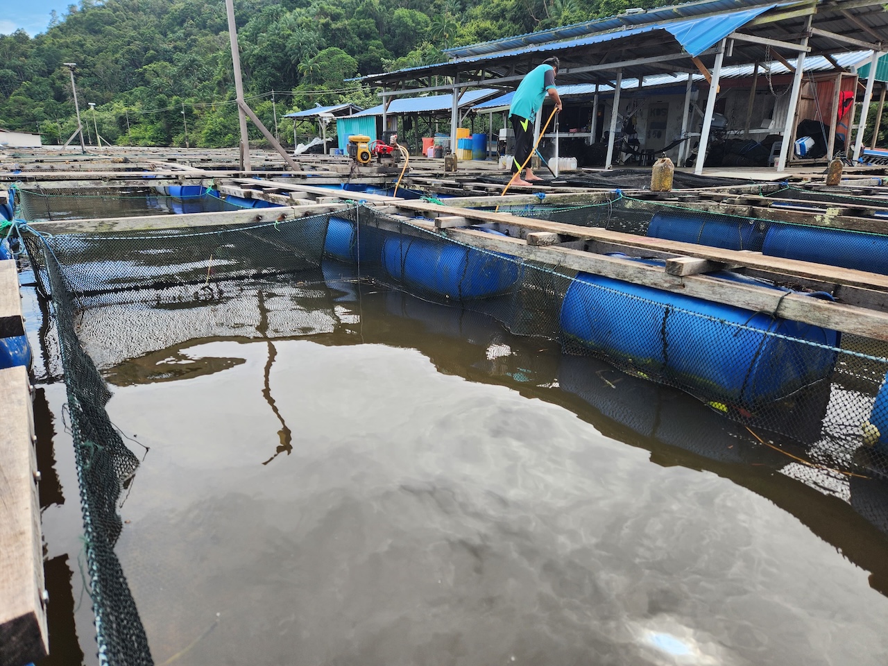 Overview of Sungai Bunga fish farming facilities