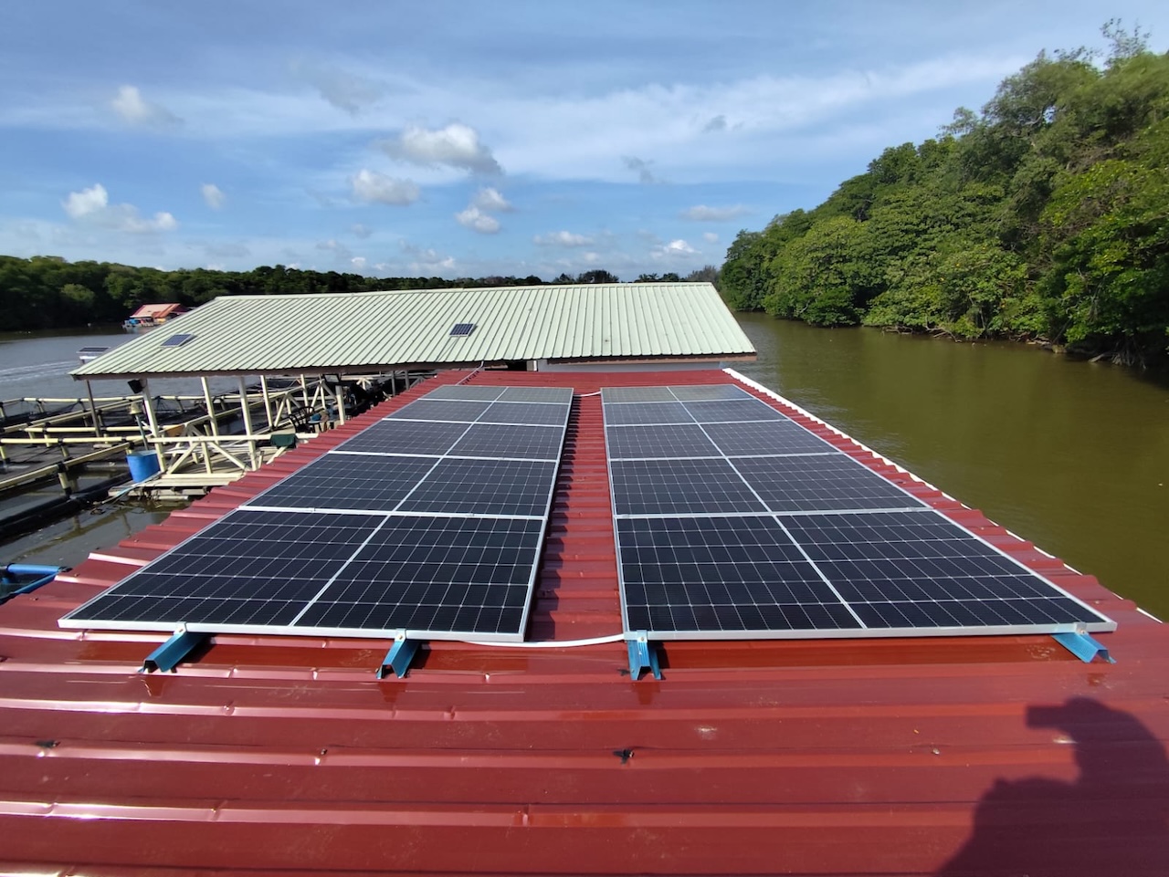 Innovative solar-powered hatchery system showcasing sustainable aquaculture practices