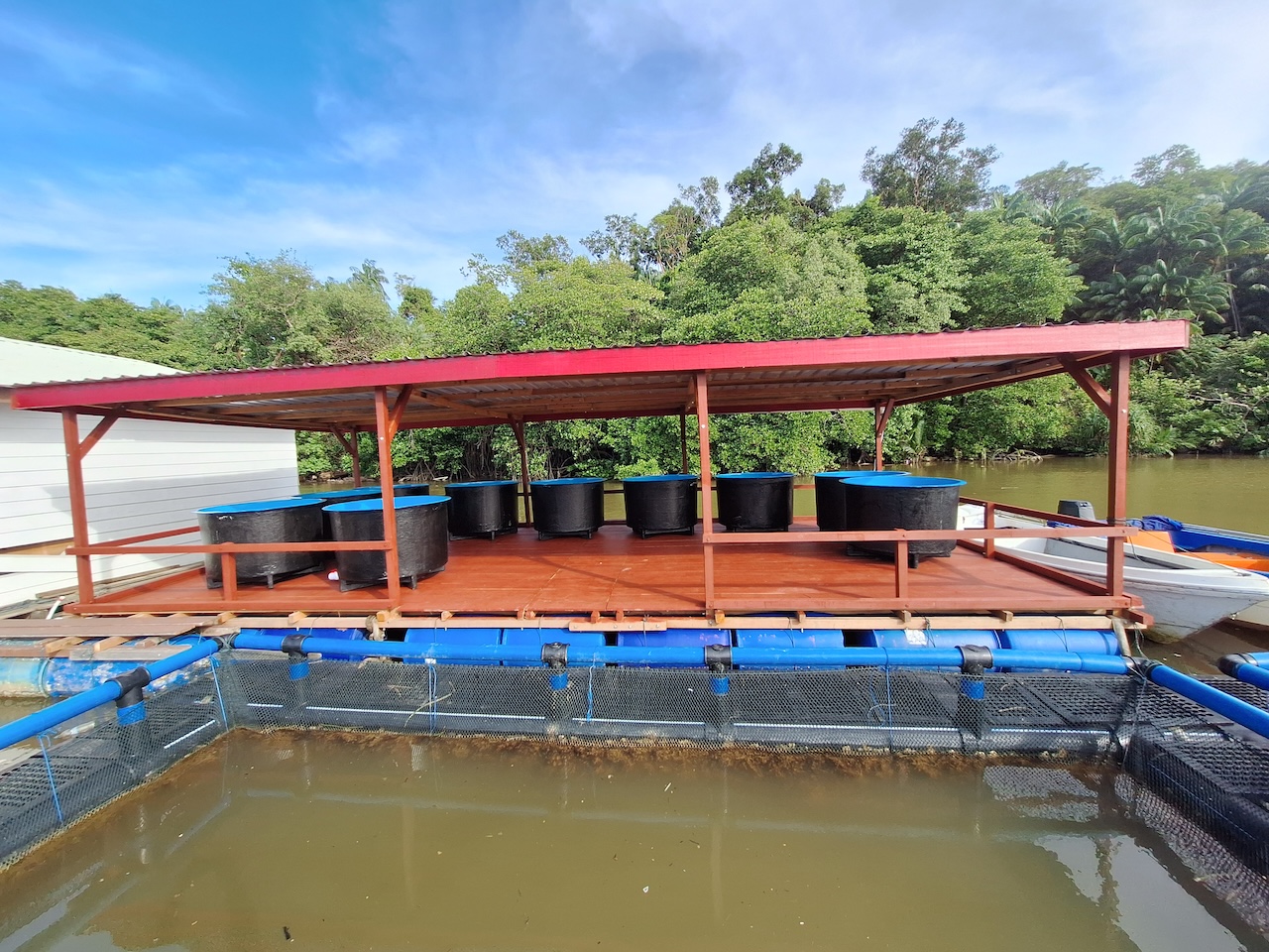 Advanced solar-powered hatchery operations at Fatih Aquaculture