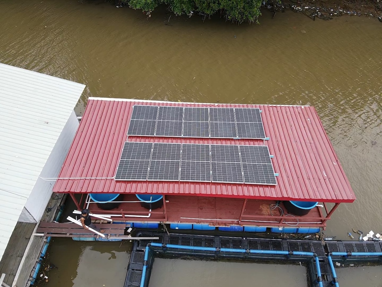 Sustainable solar-powered hatchery system in operation